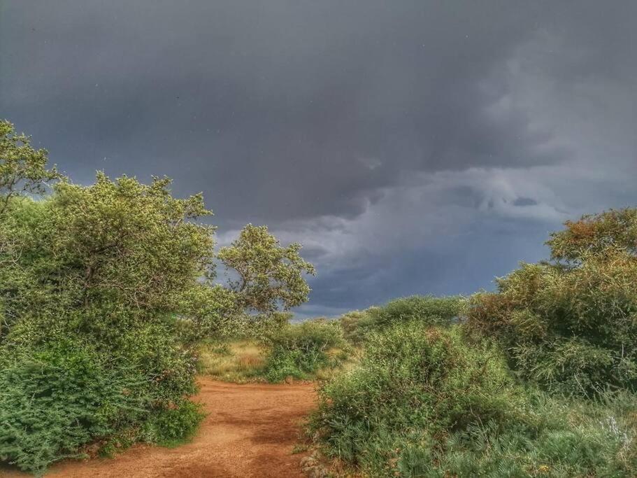 Hackberry House Black Thorn Cottage, Off Grid Khemsbok Kültér fotó